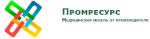 Промресурс, Россия